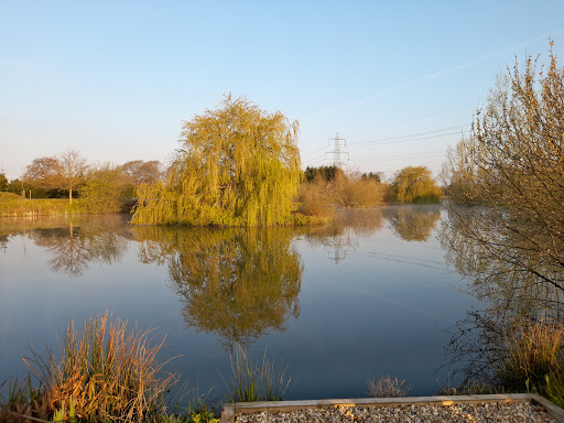 Headlands Farm Fishery