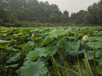 Photos of Zhejiang University （Zijingang Campus）