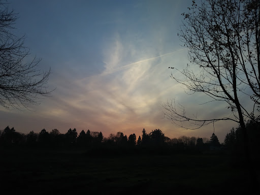 Engelman Park - Visual