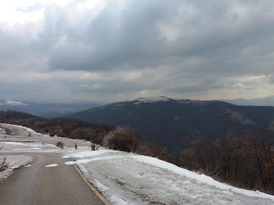 Photos of Smetovi