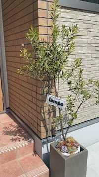 リンパケアサロンlämpö