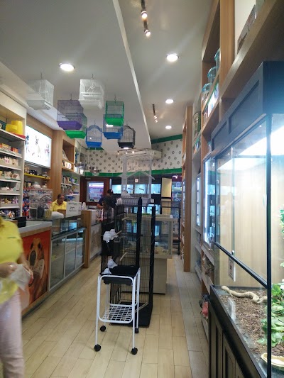 Photos of Escasan Metrocentro