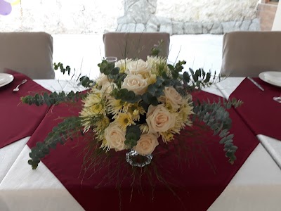 Photos of Bavaro Lobster