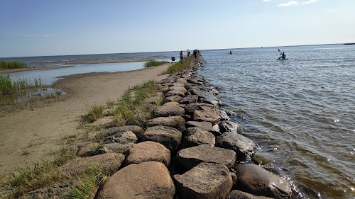 Pärnu