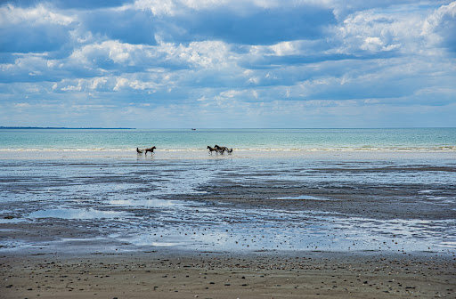 Plage de Kairon Logo