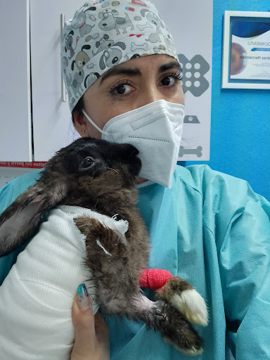 Clínica veterinaria de los Altos