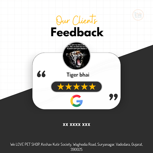 "Tiger bhai" raves about his exceptional experience at We Love Pet in Vadodara! As a proud pet ow… post image