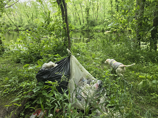 Three Mile Bay Wildlife Management Area - Thumbnail