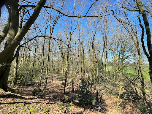 Parkeerplaats De Korte Duinen