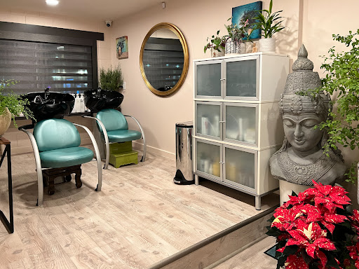 Switch Salon - Visual