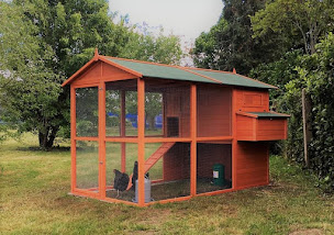 Photo n°22 de Le Haut Montmartre Elevage - Poulette d'ornement, pondeuses & races anciennes à Cléré-les-Pins (Élevage de volailles)