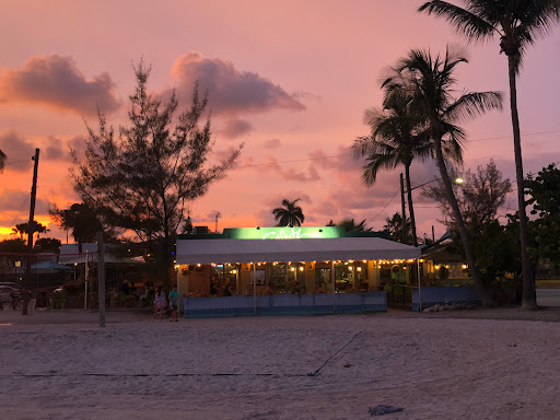 Key West Ted - Visual