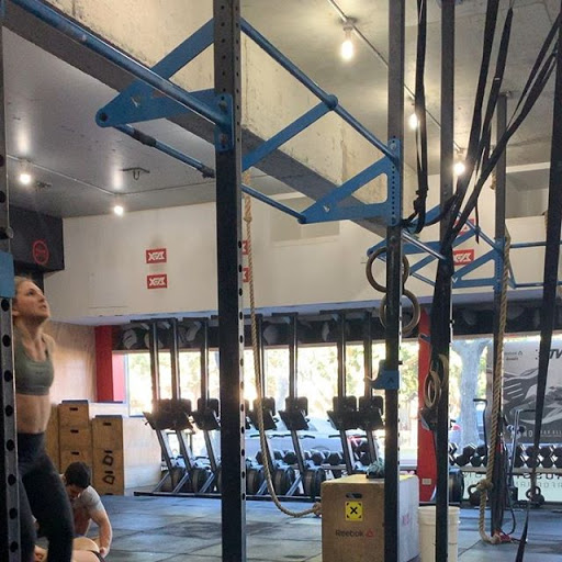 CrossFit Bondi - Thumbnail