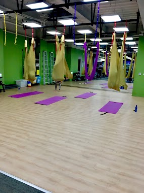 Anytime Fitness, Author: Karen Yeh