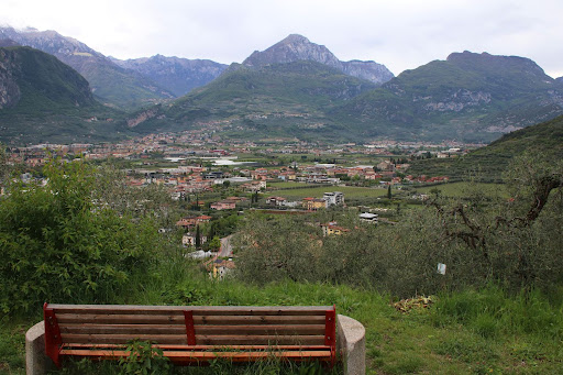 Oliveto Brione - Thumbnail