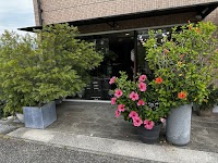 スィルフナンバーゼロ（ｓｙｌｐｈ．ｎｏ．０）