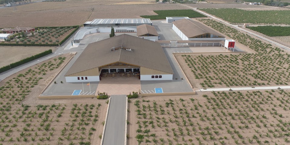 Bodega Señorio de Barahonda by null