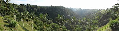 Photos of Finca Samsara