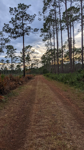 Orange Point - Welaka State Forest - Thumbnail