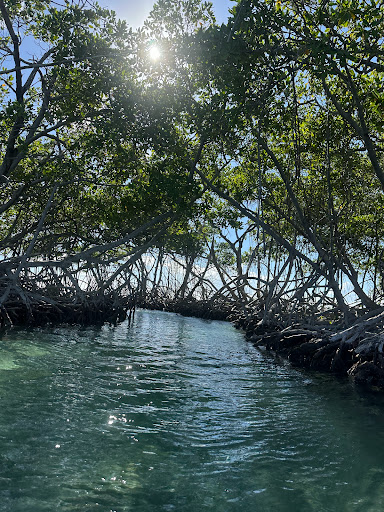 Torres Boats Rental - Thumbnail