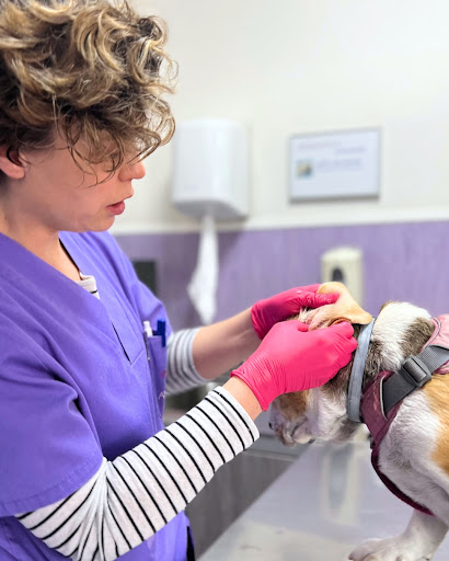 Hospital Veterinario Veterinarea Villalba