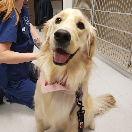 The Pet Spot Veterinary Hospital Gallery - United States