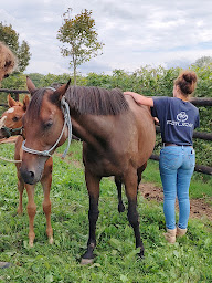 Photo n°3 de Forcora à Le Bec-Hellouin (École)