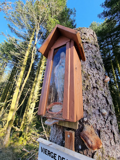 Vierge de la Charme sur son tronc