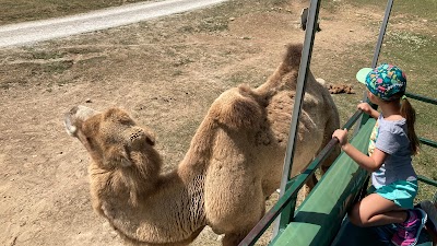 The Wilds Columbus Zoo