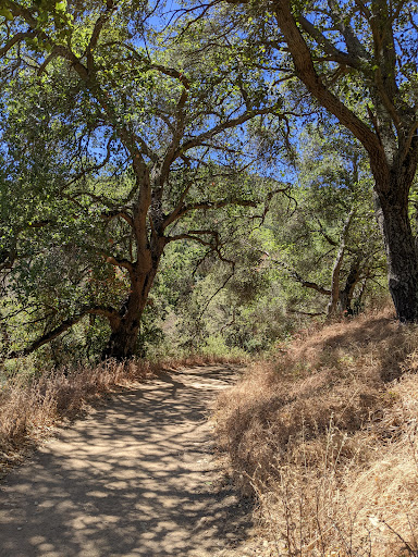 Five Canyons Open Space - Thumbnail