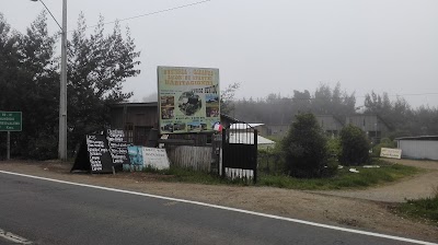 Photos of Pasteleria Sarita Castro