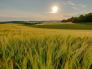 Photo n°1 de Terrea à La Grande-Paroisse (Fournisseur de matériel agricole)