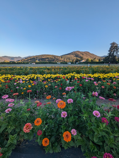 Pheasant Fields Farm - Visual