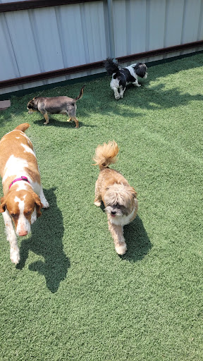 Diamond D Kennels