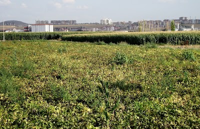 Photos of Karaman Municipality