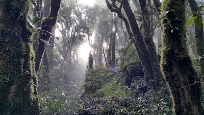 Photos of Cerro Las Minas
