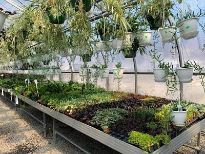 The Gardeners' Spot
