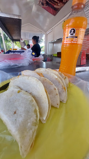 Tacos al vapor el estadio - Thumbnail