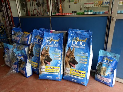 Photos of CD Kennel's