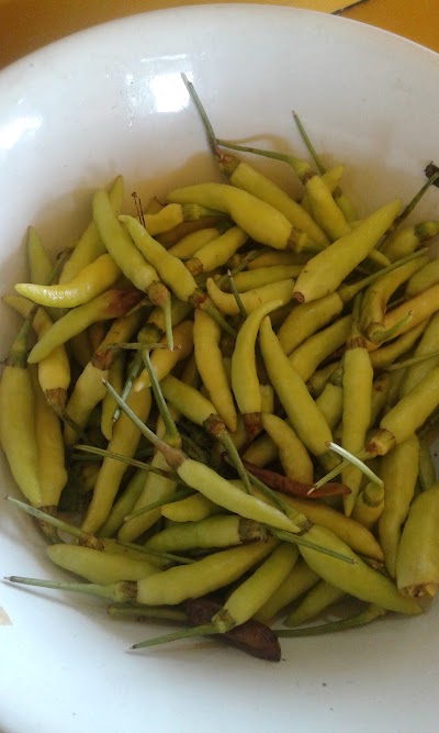 Photos of Hijau Toko
