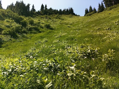 Photos of Lookout Mountain Lookout