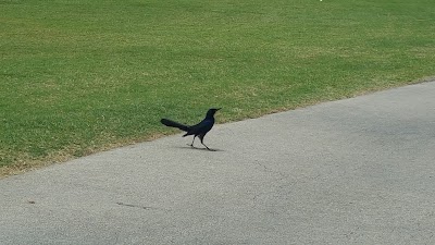 Photos of Park Ridge Golf Course