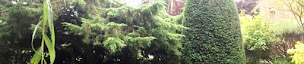 Photo n°10 de HD Parcs & Jardins à Dieppe (Paysagiste)