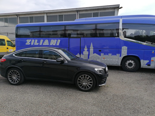 Ziliani Valter e Figlio - Visual