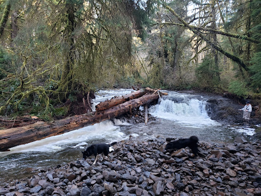 Gnat Creek Fish Hatchery