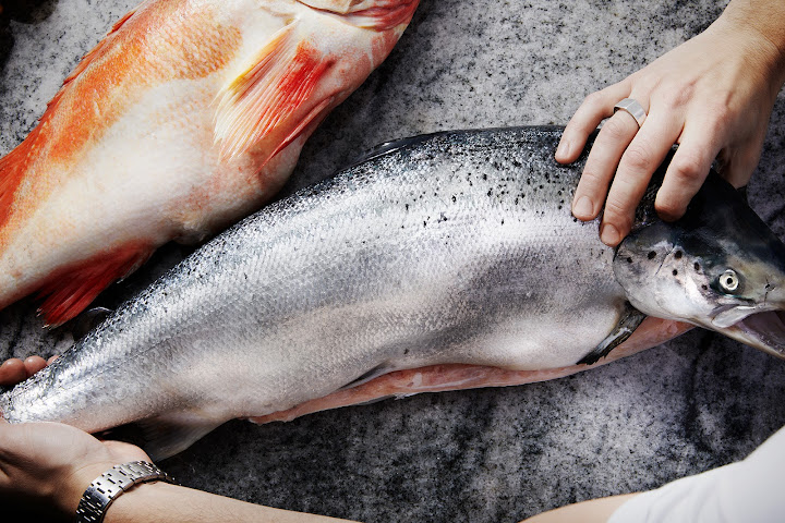 Båtshaket på Ålö by null