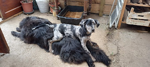 Photo n°1 de La Ferme de L'Usclade à Maleville (Terrain pour camping-cars)