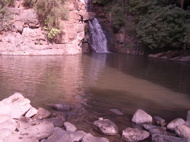 Nahal Yehudiya