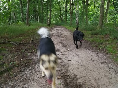 Photos of Skibstrup Camping