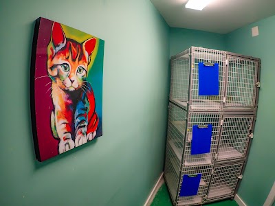 Rhode Island Animal Medical Center